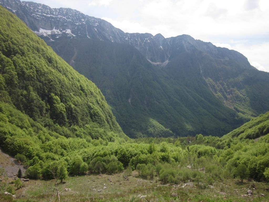 Villa Bezgova Hisica Bovec Exterior foto